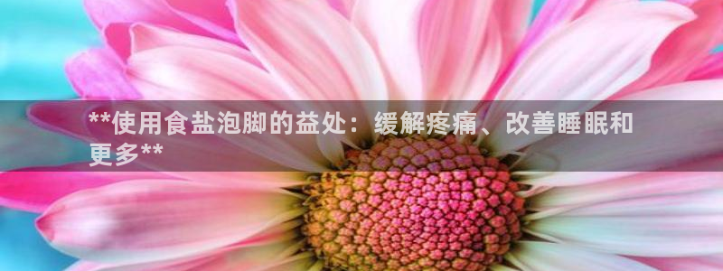 威九國(guó)際在哪里
