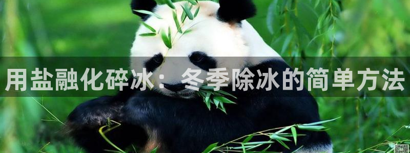威九國際官方網(wǎng)站最新版本更新內(nèi)容介紹