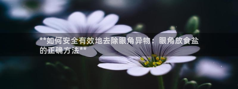 威九國際地址