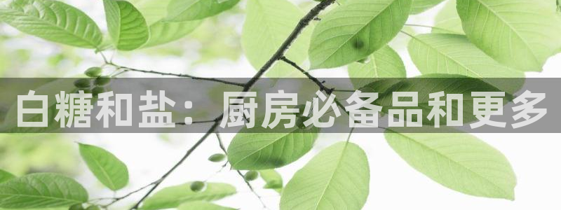 威九國(guó)際78m域名