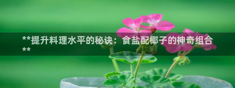 威九國際66m66