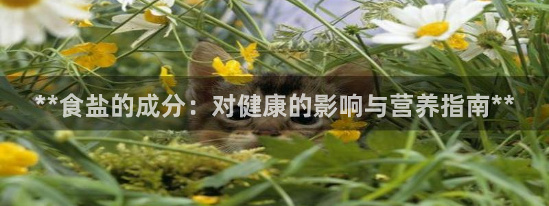 威九國際網(wǎng)站更新了嗎