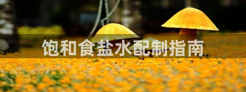威九國際66m66成長模式