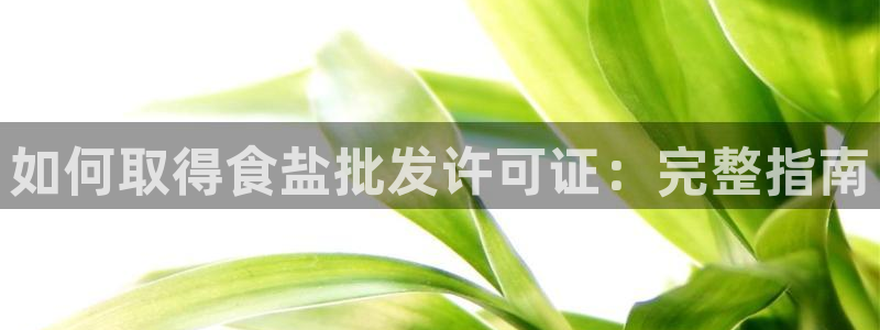 威九國(guó)際網(wǎng)站傳媒招聘：如何取得食鹽批發(fā)許可證：完整指南