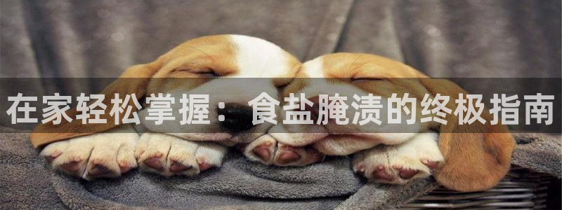威九國際網站在哪里