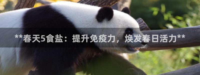 威九國(guó)際v8