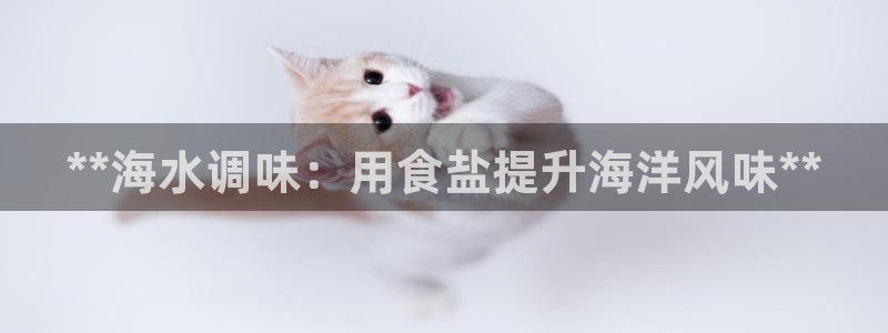 威九國際空降服務(wù)怎么樣