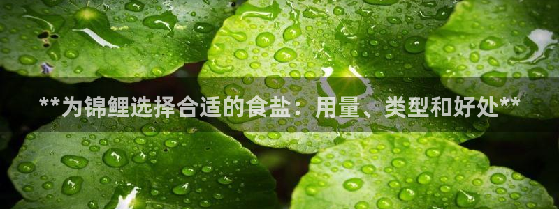威九國(guó)際網(wǎng)站安全嗎