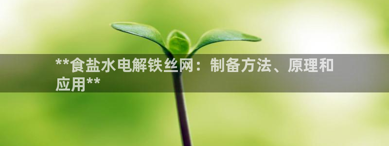 威九國際演員表