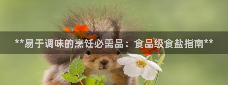 威九國際ppt免費下載