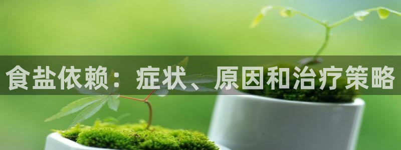 威九國際軟件公司簡介